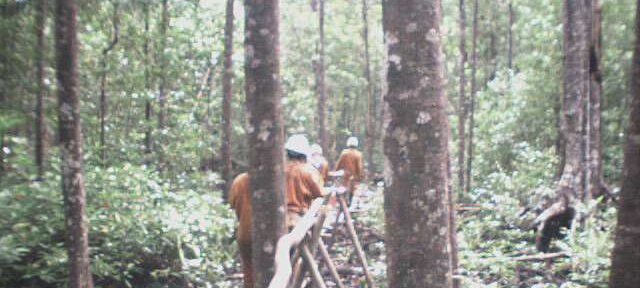 Photos Indonesie - Irian Jaya/Medevacs/260202 - ${label} ${