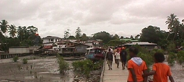Photos Indonesie - Irian Jaya/Paysage - ${label} ${