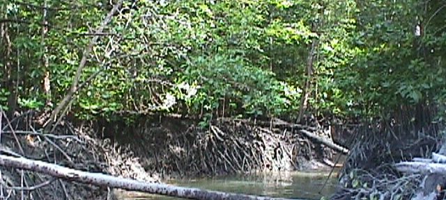 Photos Indonesie - Irian Jaya/Paysage - ${label} ${
