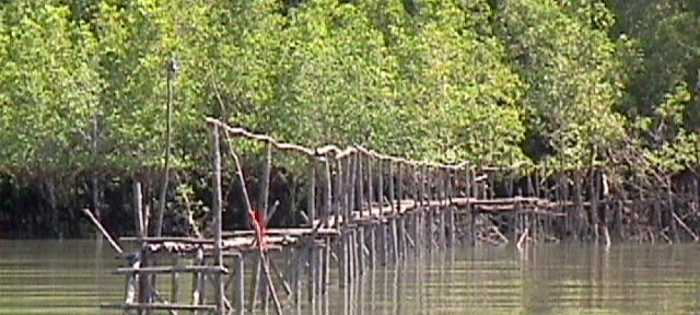 Photos Indonesie - Irian Jaya/Paysage - ${label} ${