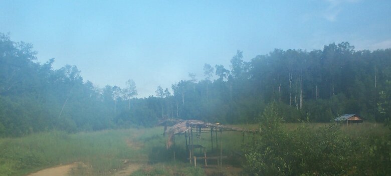 Photos Indonesie - Irian Jaya/Paysage - ${label} ${
