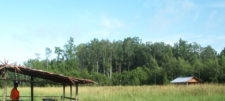 Photos Indonesie - Irian Jaya/Paysage - ${label} ${