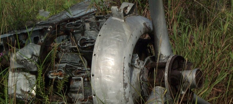 Photos Indonesie - Irian Jaya/Reconnaissance - ${label} ${
