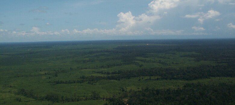 Photos Indonesie - Irian Jaya/Reconnaissance - ${label} ${