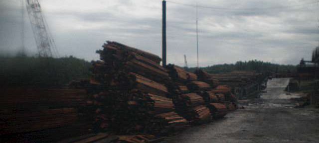 Photos Indonesie - Irian Jaya/Wood in Babo Sawmill - ${label} ${