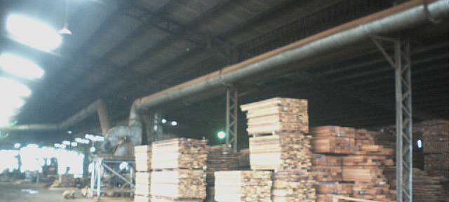 Photos Indonesie - Irian Jaya/Wood in Babo Sawmill - ${label} ${
