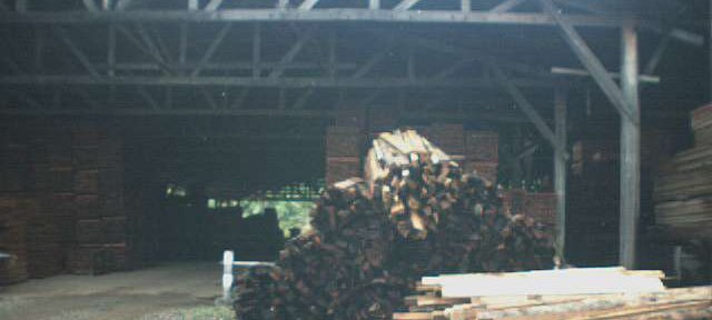Photos Indonesie - Irian Jaya/Wood in Babo Sawmill - ${label} ${