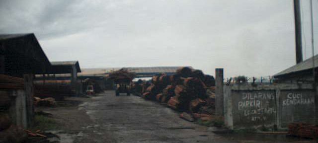 Photos Indonesie - Irian Jaya/Wood in Babo Sawmill - ${label} ${