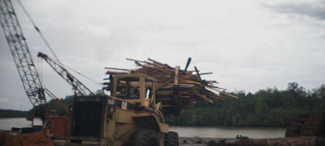 Photos Indonesie - Irian Jaya/Wood in Babo Sawmill - ${label} ${