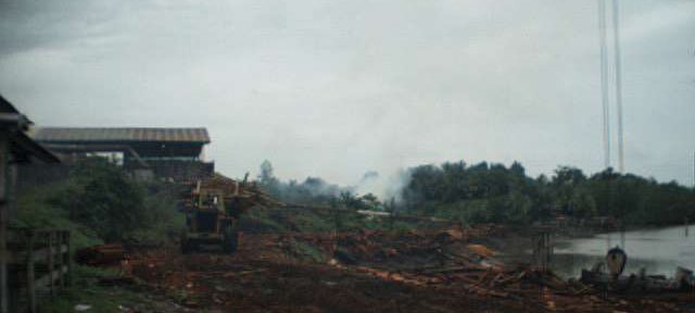 Photos Indonesie - Irian Jaya/Wood in Babo Sawmill - ${label} ${