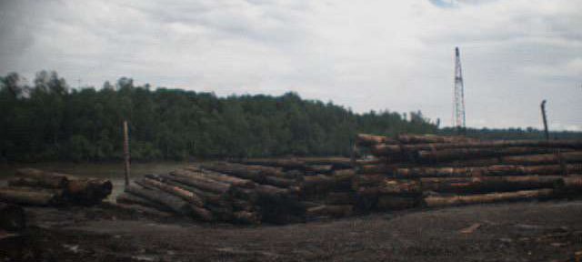 Photos Indonesie - Irian Jaya/Wood in Babo Sawmill - ${label} ${