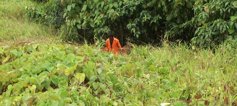 Photos Indonesie - Irian Jaya/base camp station/GPS06 - ${label} ${
