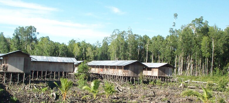 Photos Indonesie - Irian Jaya/mumusinov2001 - ${label} ${