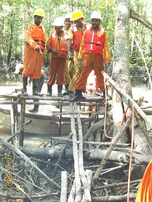 Photos Indonesie - Irian Jaya - ${label} ${