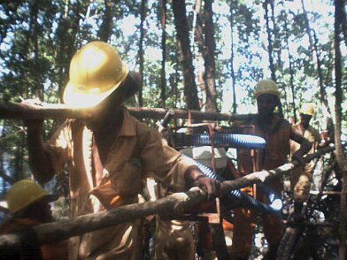 Photos Indonesie - Irian Jaya - ${label} ${