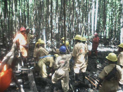 Photos Indonesie - Irian Jaya - ${label} ${